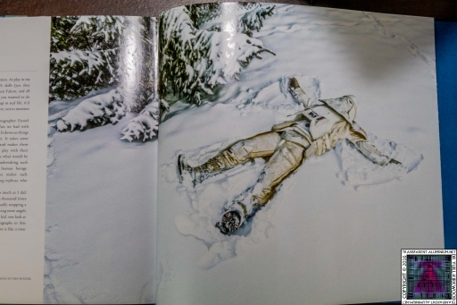 Figure Fantasy (2)