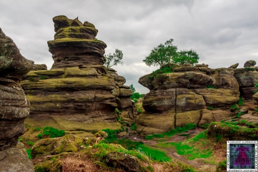 Brimham Rock (16).jpg