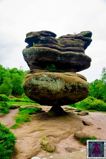 Brimham Rock (25).jpg