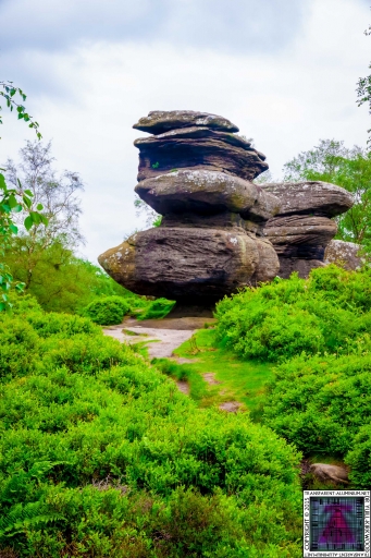 Brimham Rock (30).jpg