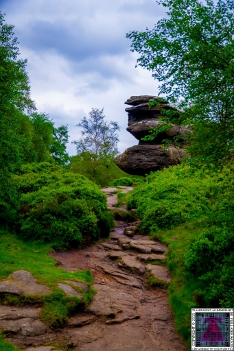 Brimham Rock (31).jpg