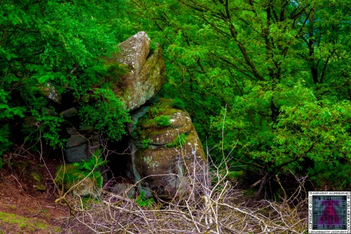 Brimham Rock (34).jpg