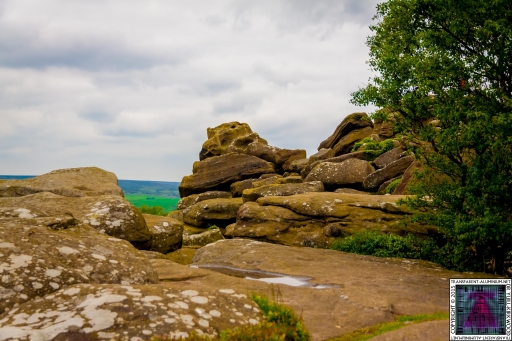 Brimham Rock (38).jpg