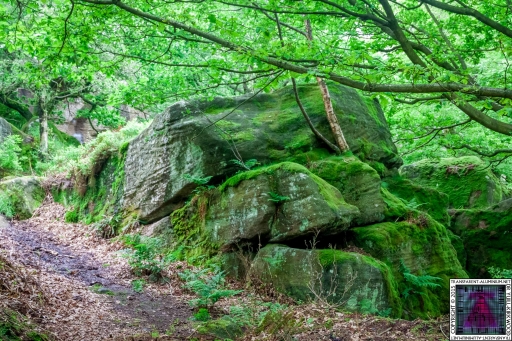 Brimham Rock (46).jpg