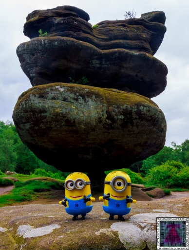 The Minions at Brimham Rock (1).jpg