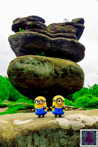 The Minions at Brimham Rock (2).jpg