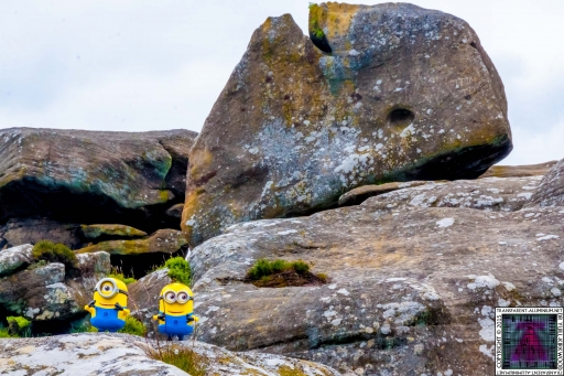 The Minions at Brimham Rock (3).jpg