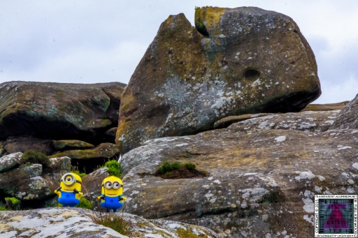 The Minions at Brimham Rock (4).jpg