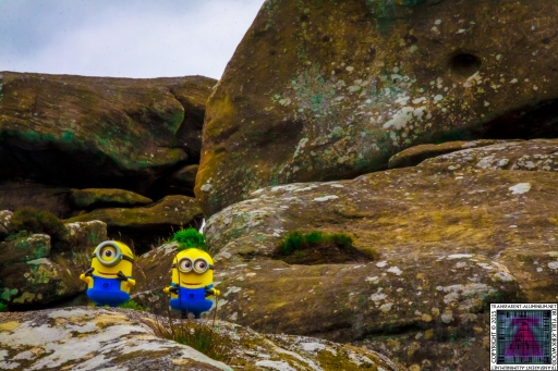 The Minions at Brimham Rock (5).jpg