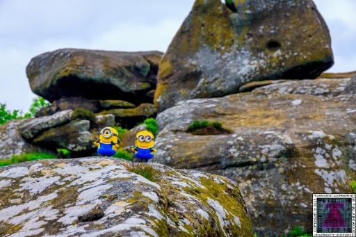 The Minions at Brimham Rock (6).jpg