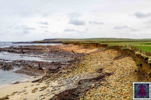 Brough of Birsay (6)