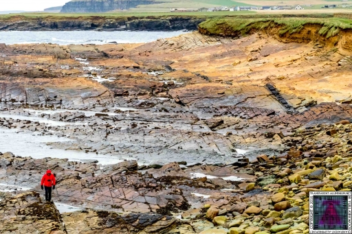 Brough of Birsay (7)
