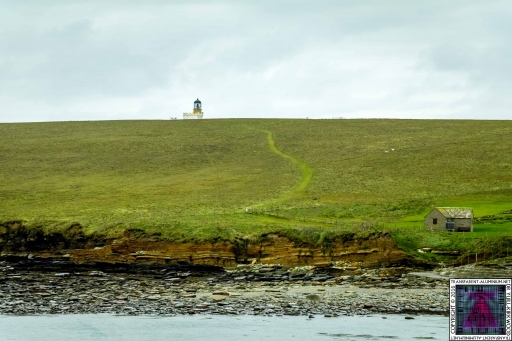 Brough of Birsay (8)