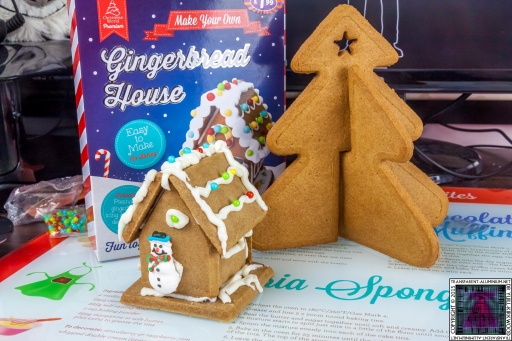 Christmas Gingerbread House - Lets Build (10)