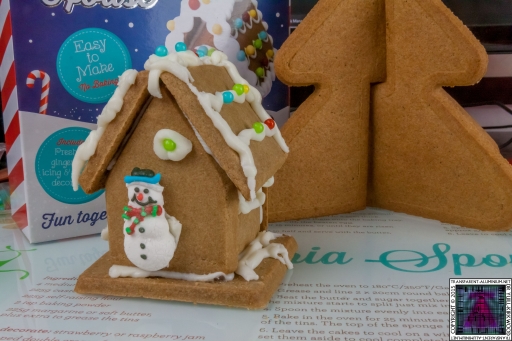 Christmas Gingerbread House - Lets Build (11)