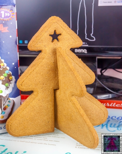 Christmas Gingerbread House - Lets Build (5)