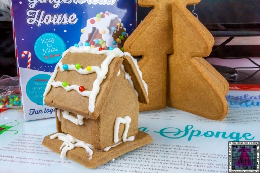 Christmas Gingerbread House - Lets Build (6)