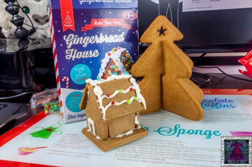 Christmas Gingerbread House - Lets Build (8)