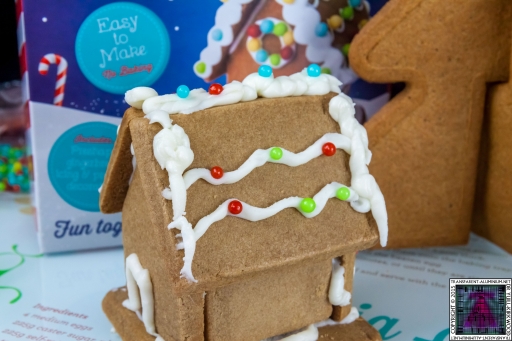 Christmas Gingerbread House - Lets Build (9)