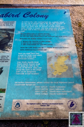 Duncansby Head (11)