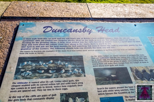 Duncansby Head (9)