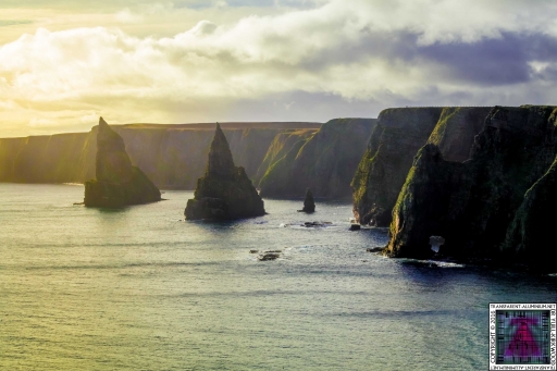 Duncansby Stacks (2)