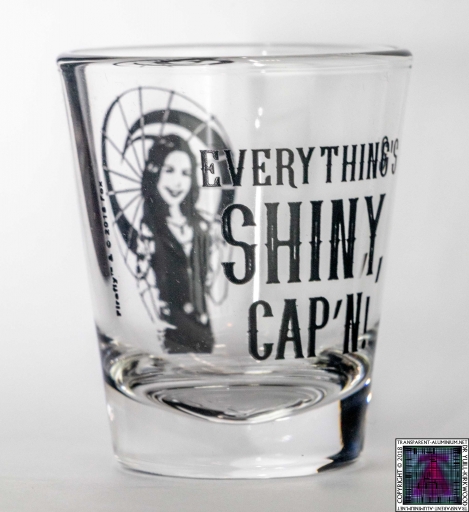 Everythings Shiny Shot Glass