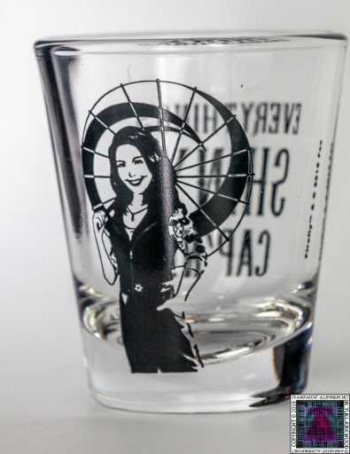 Everythings Shiny Shot Glass