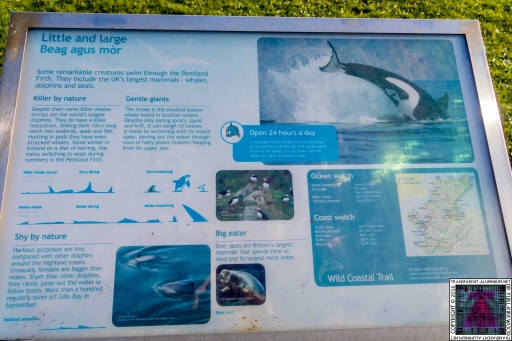 John O'Groats (3)