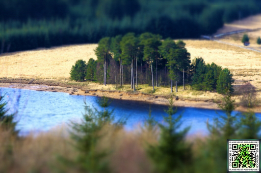 Kielder Elf Kirk Viewpoint
