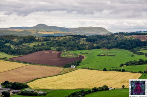 Kinnoul Hill (5)