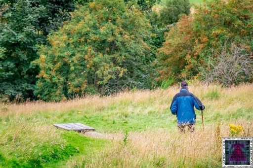Kinoull Hill (3)