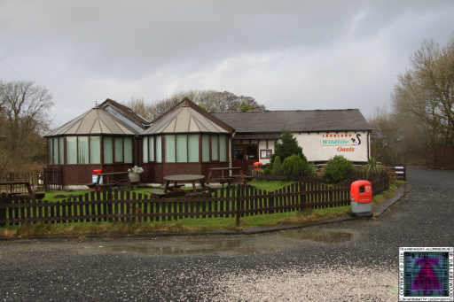 Lakeland Wildlife Oasis