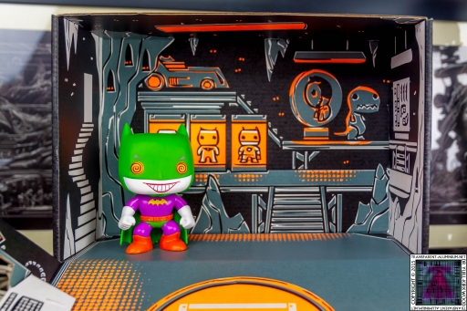 Loot Crate - December 2014 Anniversary (1)