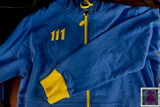 Vailt 111 Hoodie.jpg