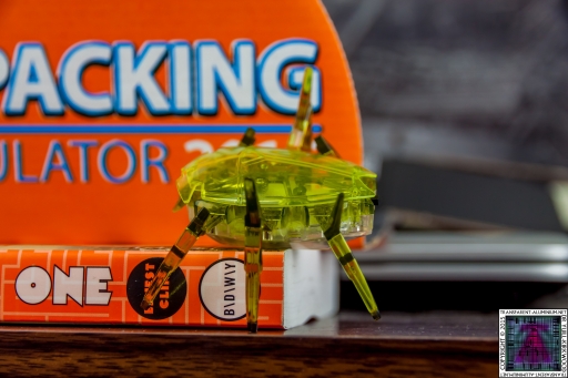 Hex Bug (2)