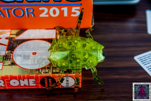 Hex Bug (3)