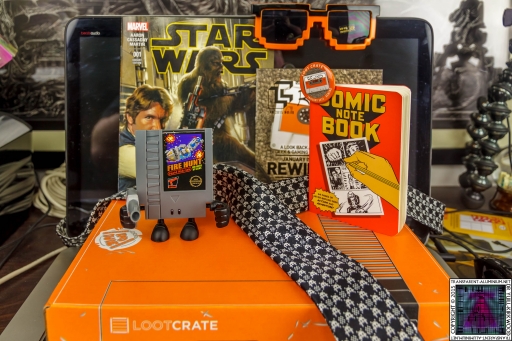Loot Crate January 2015 Rewind (3)