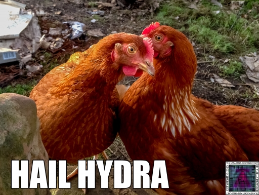 Hail Hydra.jpg