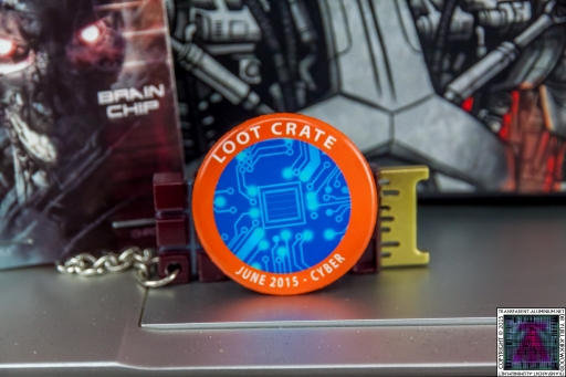 Loot Crate - June 2015 Cyber Badge.jpg