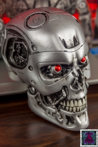 Terminaror Endo Skull (1).jpg