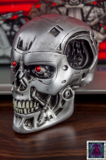Terminaror Endo Skull (2).jpg