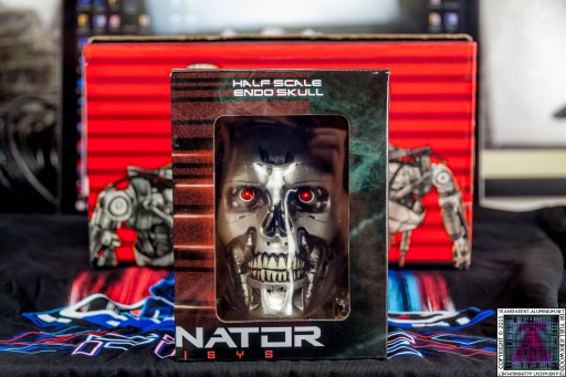 Terminaror Endo Skull (6).jpg