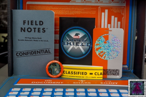 Loot Crate - March 2015 Covert (1).jpg