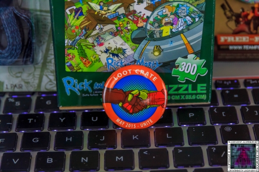 Loot Crate - May 2015 Unite Barge Pin.jpg