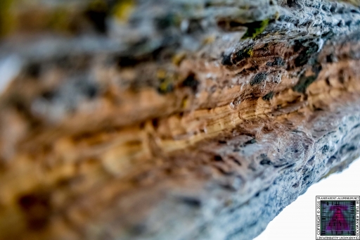 Ancient Rock (2)