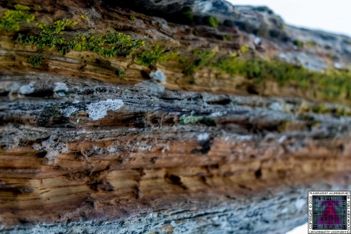 Ancient Rock (3)