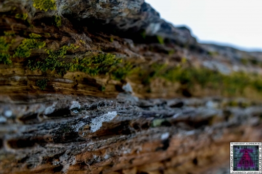 Ancient Rock (4)