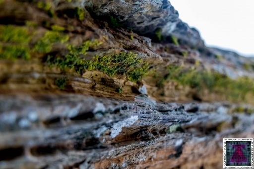 Ancient Rock (5)
