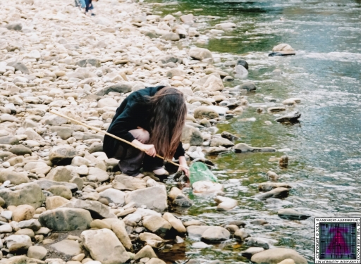 Debbie Coggins (14).jpg